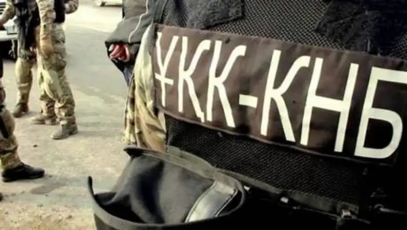 Это еще не все. О масштабах международной спецоперации рассказал КНБ РК