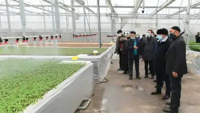 пресс-служба, фото - Новости Zakon.kz от 28.12.2020 10:36