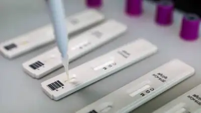 Андрей Никеричев / АГН "Москва", фото - Новости Zakon.kz от 05.10.2020 09:49