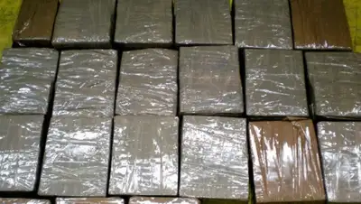 Zakon.kz, фото - Новости Zakon.kz от 14.08.2015 19:08