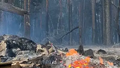 Крупные пожары в Костанайской области: виновным признан тракторист, фото - Новости Zakon.kz от 16.01.2023 17:40
