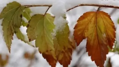 Zakon.kz, фото - Новости Zakon.kz от 15.09.2015 07:10