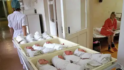 Zakon.kz, фото - Новости Zakon.kz от 20.11.2013 20:35