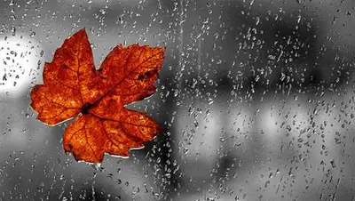 Zakon.kz, фото - Новости Zakon.kz от 18.10.2014 14:57