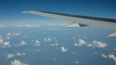 Pixabay, фото - Новости Zakon.kz от 17.01.2020 00:08