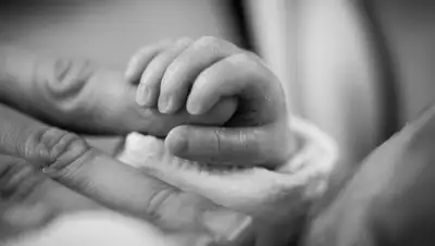 Pixabay, фото - Новости Zakon.kz от 30.03.2020 22:07