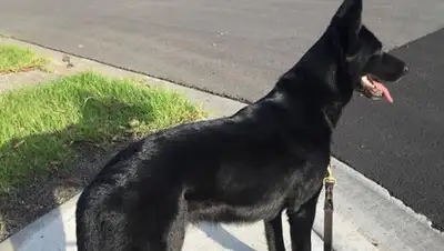 Пресс-служба ДП Алматинской области, фото - Новости Zakon.kz от 13.01.2020 21:33