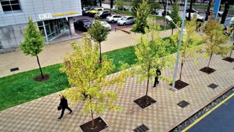 Как меняется облик Алматы