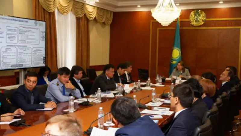 Лязат Актаева: По пилотному проекту медстрахования идет ежедневная работа