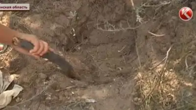 Zakon.kz, фото - Новости Zakon.kz от 17.08.2016 04:47