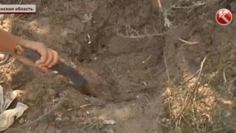 Полиция допрашивает мать, закопавшую грудничка на стадионе