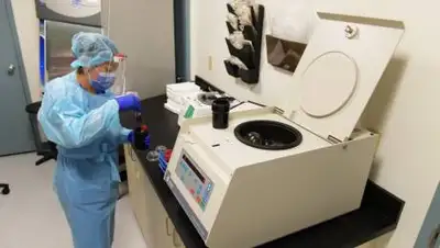 РБК, фото - Новости Zakon.kz от 09.10.2020 07:23