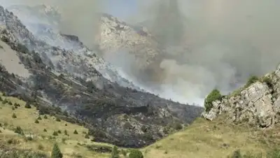 Zakon.kz, фото - Новости Zakon.kz от 31.07.2017 05:54