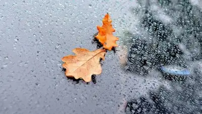 Zakon.kz, фото - Новости Zakon.kz от 18.09.2017 14:37