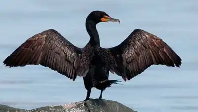 Zakon.kz, фото - Новости Zakon.kz от 16.09.2014 18:15