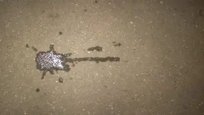 Zakon.kz, фото - Новости Zakon.kz от 01.08.2016 17:32