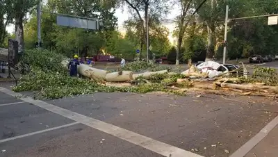 facebook, фото - Новости Zakon.kz от 11.08.2018 20:03