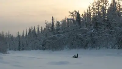 Ридус, фото - Новости Zakon.kz от 24.12.2018 15:00
