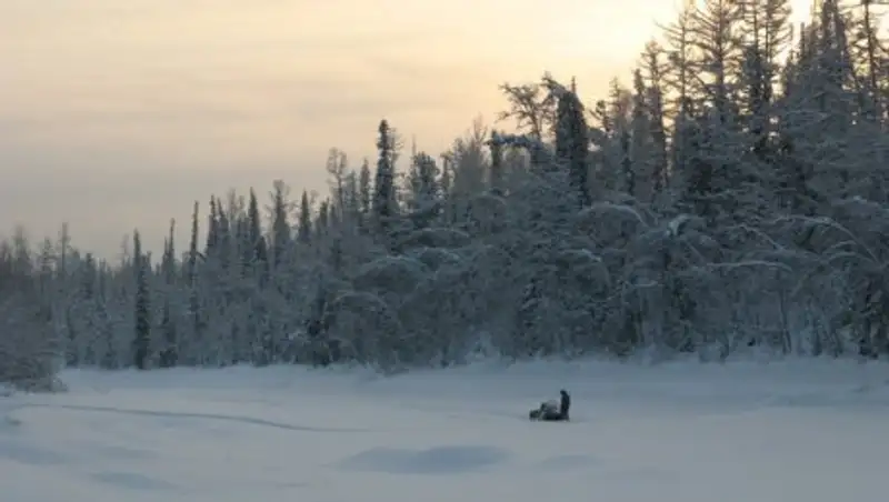 Трехлетний мальчик самостоятельно выбрался из тайги