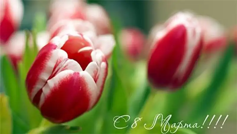 Аким Карагандинской области поздравил женщин с 8 марта