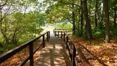 kurkino.ru, фото - Новости Zakon.kz от 17.04.2018 16:48