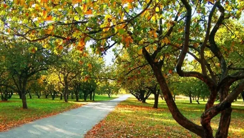 В ближайшие дни почти на всей территории РК ожидается жара, местами до +38 градусов