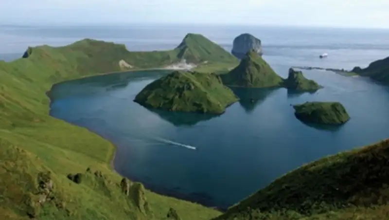 Япония выразила желание обсудить с Путиным вопрос Курил