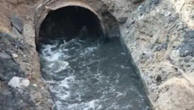 Zakon.kz, фото - Новости Zakon.kz от 28.11.2014 17:41