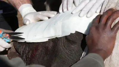 Zakon.kz, фото - Новости Zakon.kz от 17.08.2015 03:21