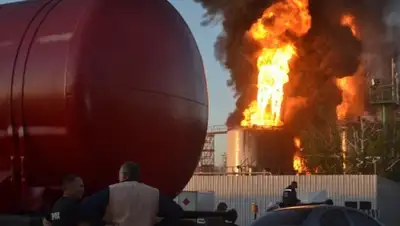 Zakon.kz, фото - Новости Zakon.kz от 12.06.2015 05:21