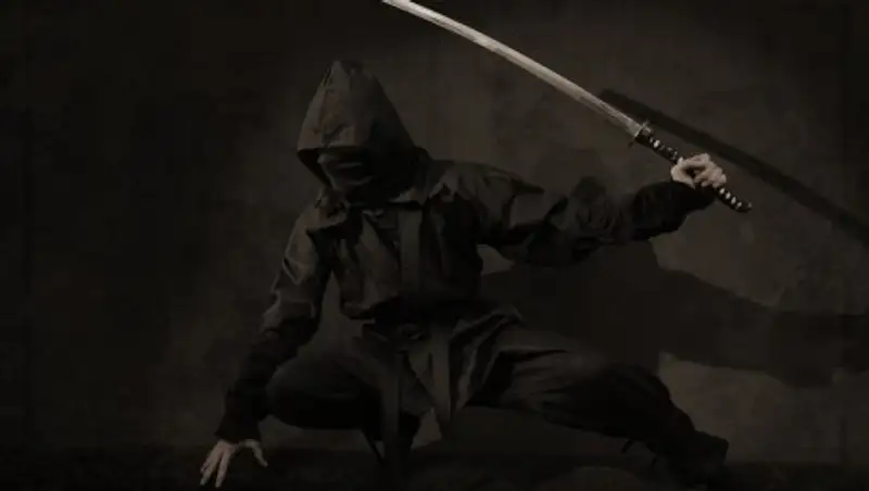 В Японии 74-летний ниндзя совершил 254 квартирных кражи