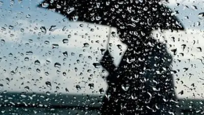 Zakon.kz, фото - Новости Zakon.kz от 20.07.2017 12:00