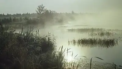 Zakon.kz, фото - Новости Zakon.kz от 03.11.2017 20:32