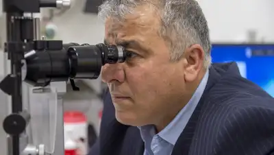 Pixabay, фото - Новости Zakon.kz от 03.07.2019 18:03