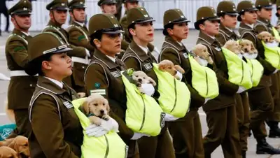 cameralabs.org, фото - Новости Zakon.kz от 07.01.2019 22:19