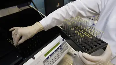 Zakon.kz, фото - Новости Zakon.kz от 28.12.2016 20:13