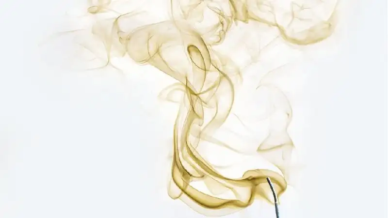 Регулирование вейпов: как повлияет на рынок введение национального стандарта?