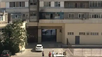 Zakon.kz, фото - Новости Zakon.kz от 29.08.2017 21:53