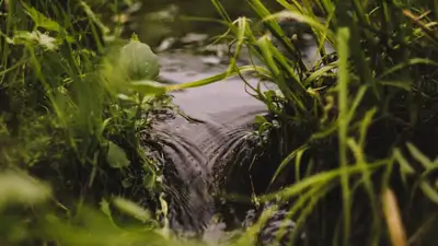 "Продажу" озера Мортык в Акмолинской области за 700 тысяч тенге прокомментировали чиновники, фото - Новости Zakon.kz от 06.06.2023 15:37