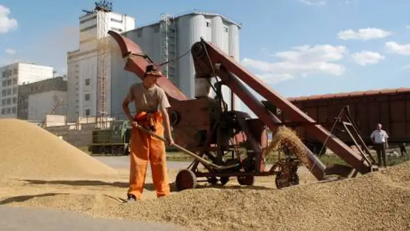 Казахстан возобновил поставки зерна и муки в Афганистан