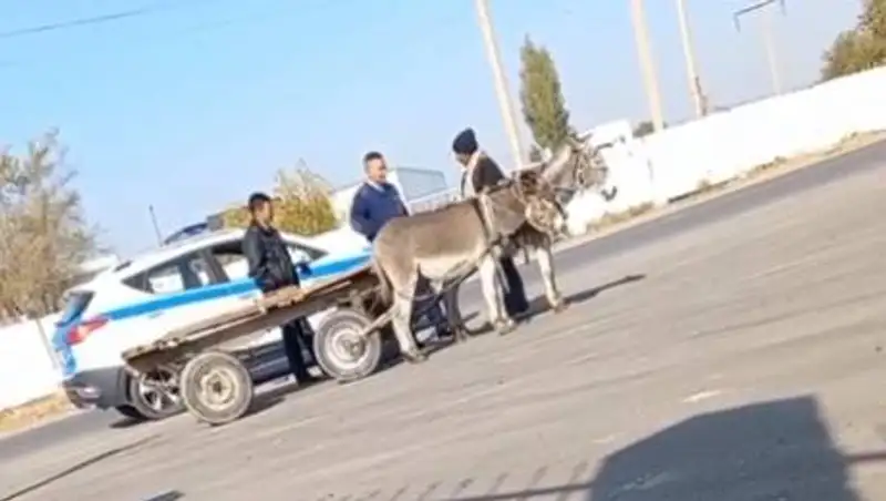 "Уже на ишаке ездить нельзя" - видео с полицейскими рассмешило Казнет