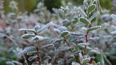 pixabay.com, фото - Новости Zakon.kz от 11.05.2021 17:49