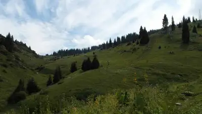 VITALIK.kz, фото - Новости Zakon.kz от 23.07.2019 13:15