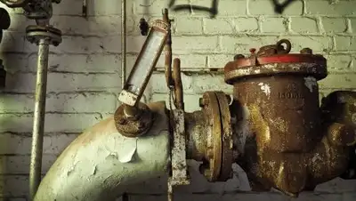 pxhere.com, фото - Новости Zakon.kz от 05.02.2019 18:08