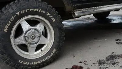 Фото © Sputnik / Наталья Селиверстова, фото - Новости Zakon.kz от 01.01.2018 15:51