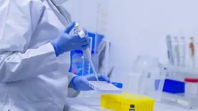 исследования , фото - Новости Zakon.kz от 23.12.2021 12:19