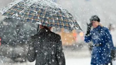 Zakon.kz, фото - Новости Zakon.kz от 08.02.2017 12:00