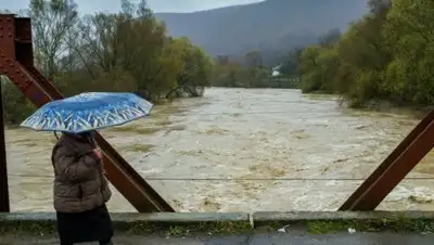 ТСН, фото - Новости Zakon.kz от 14.04.2018 16:34
