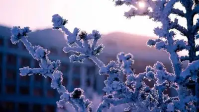 gazeta.kg, фото - Новости Zakon.kz от 19.02.2018 09:30