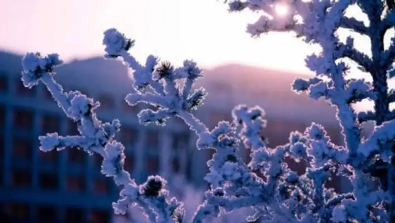 19 февраля на большей части Казахстана ожидается ясная погода